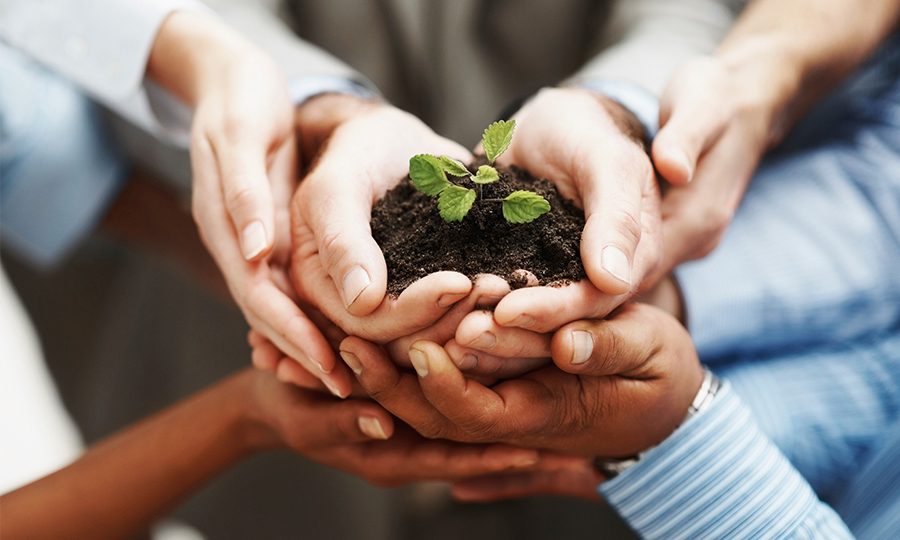 Partnerships (1) Partnerships (1)