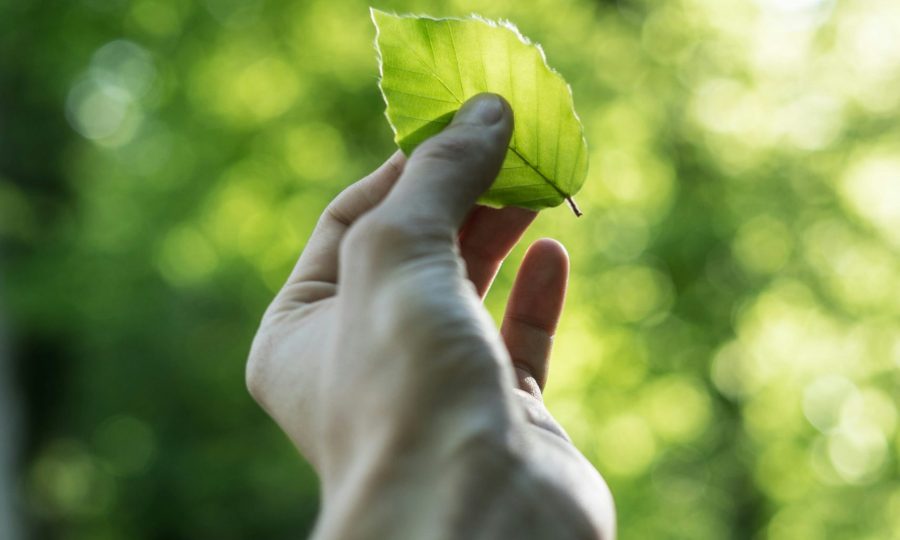 tobias-weinhold-hXPomXrpUP0-unsplash tobias-weinhold-hXPomXrpUP0-unsplash